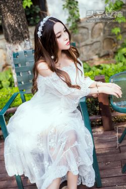 完美前传